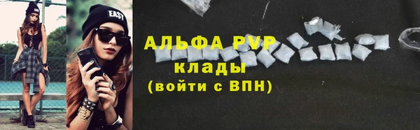 эйфоретик Касимов