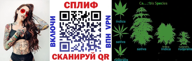 Марихуана ГИДРОПОН  Купить где  Горнозаводск 